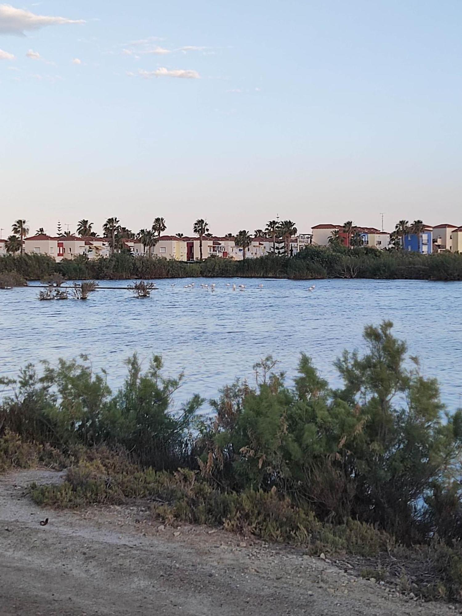 El Mirador De Torremari - Nudista - Vera Playa Eksteriør billede